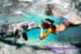/album/kepgaleria-kepek/a550504-1283414698464094-188104171-n-jpg/