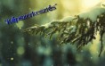 /album/kepgaleria-kepek/a665018-1290110861127811-1386384770-o-jpg/